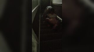 25 - 19th Jul 2017) Something about stairwells make me wanna get fucked in them... Had this guy come by to give me his huge dick, and I was waiting for him, lubed up, ass up in a