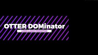 Otter DOMinator