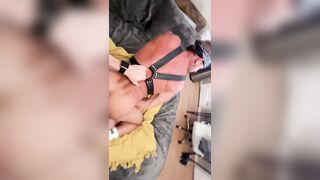 Hot Harness Action - Gay Porn Video